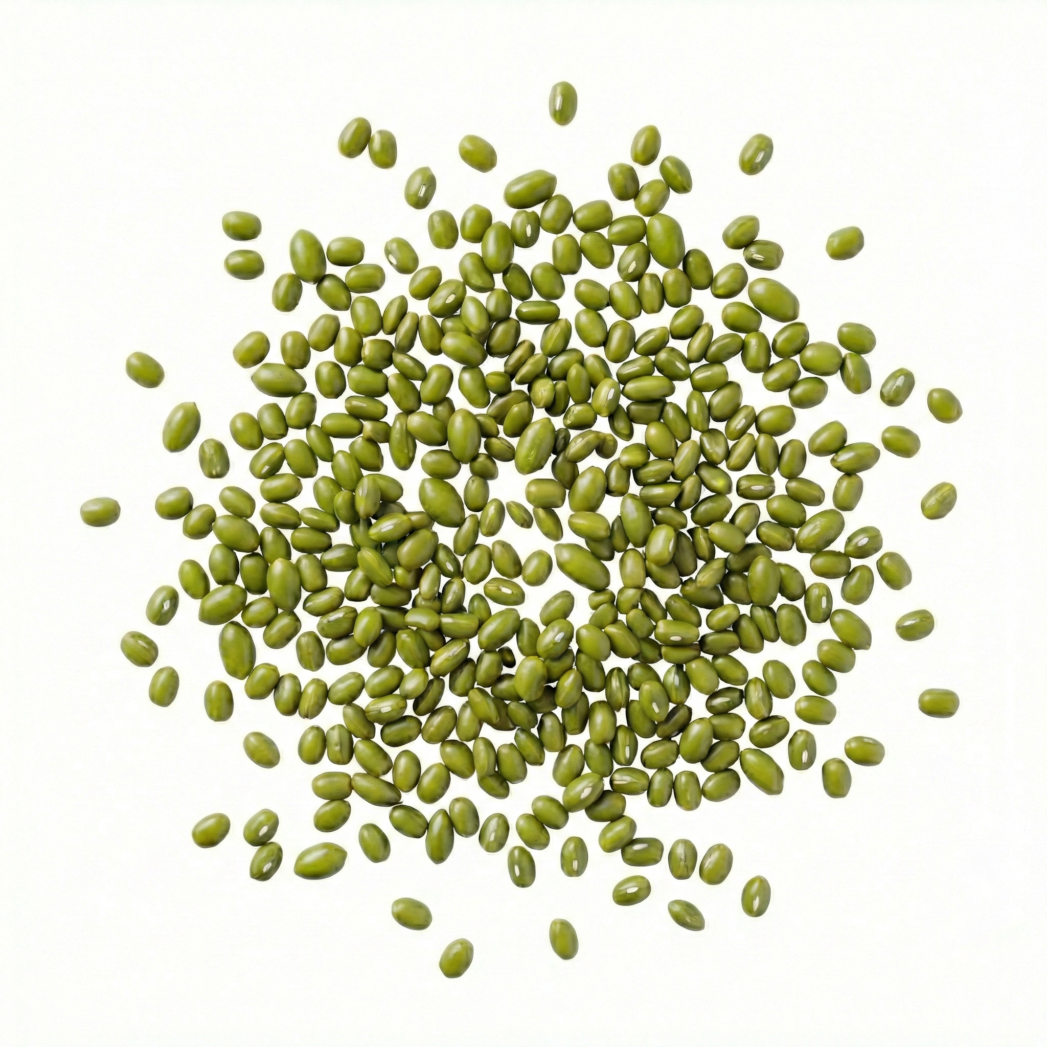 Mung Bean