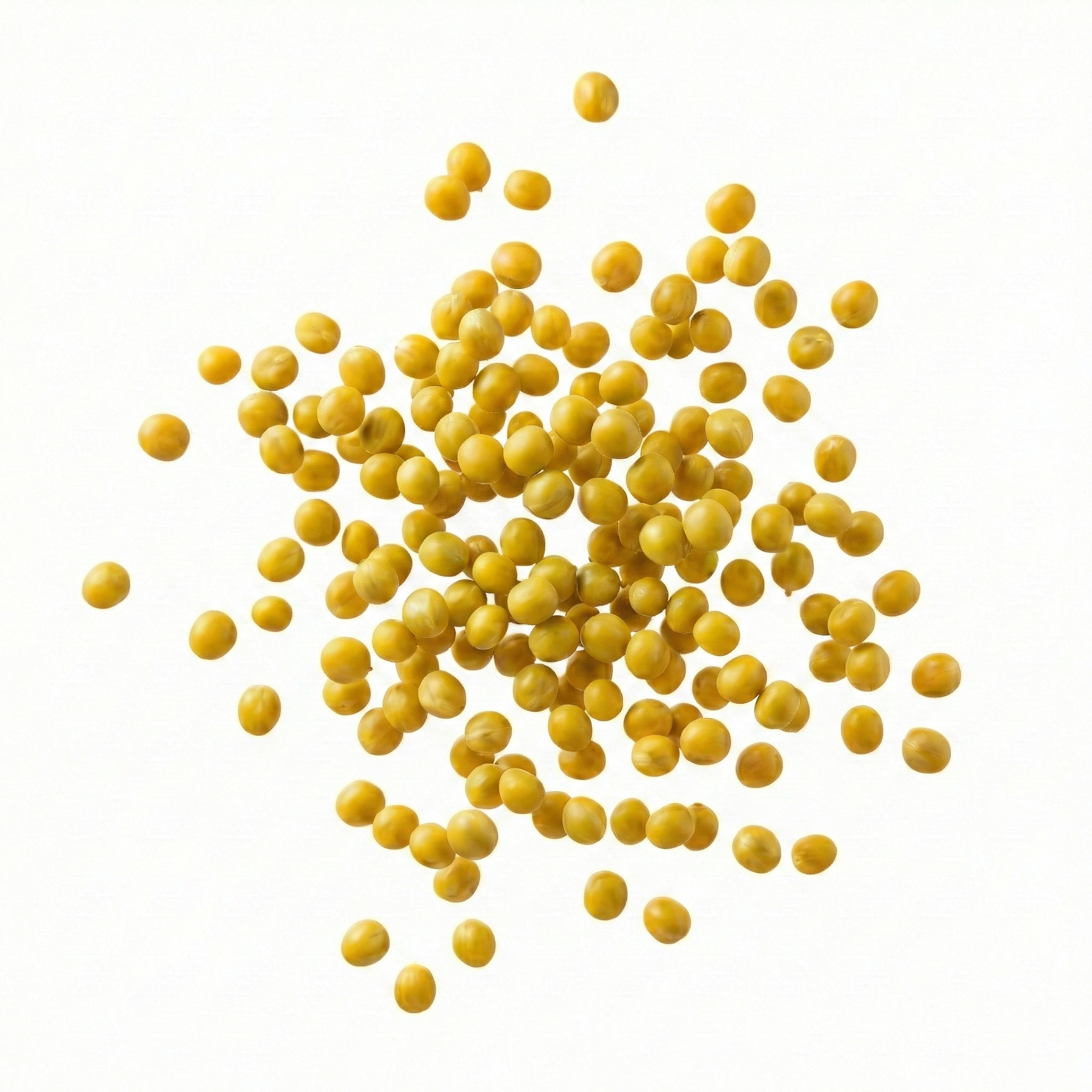 Pea Protein