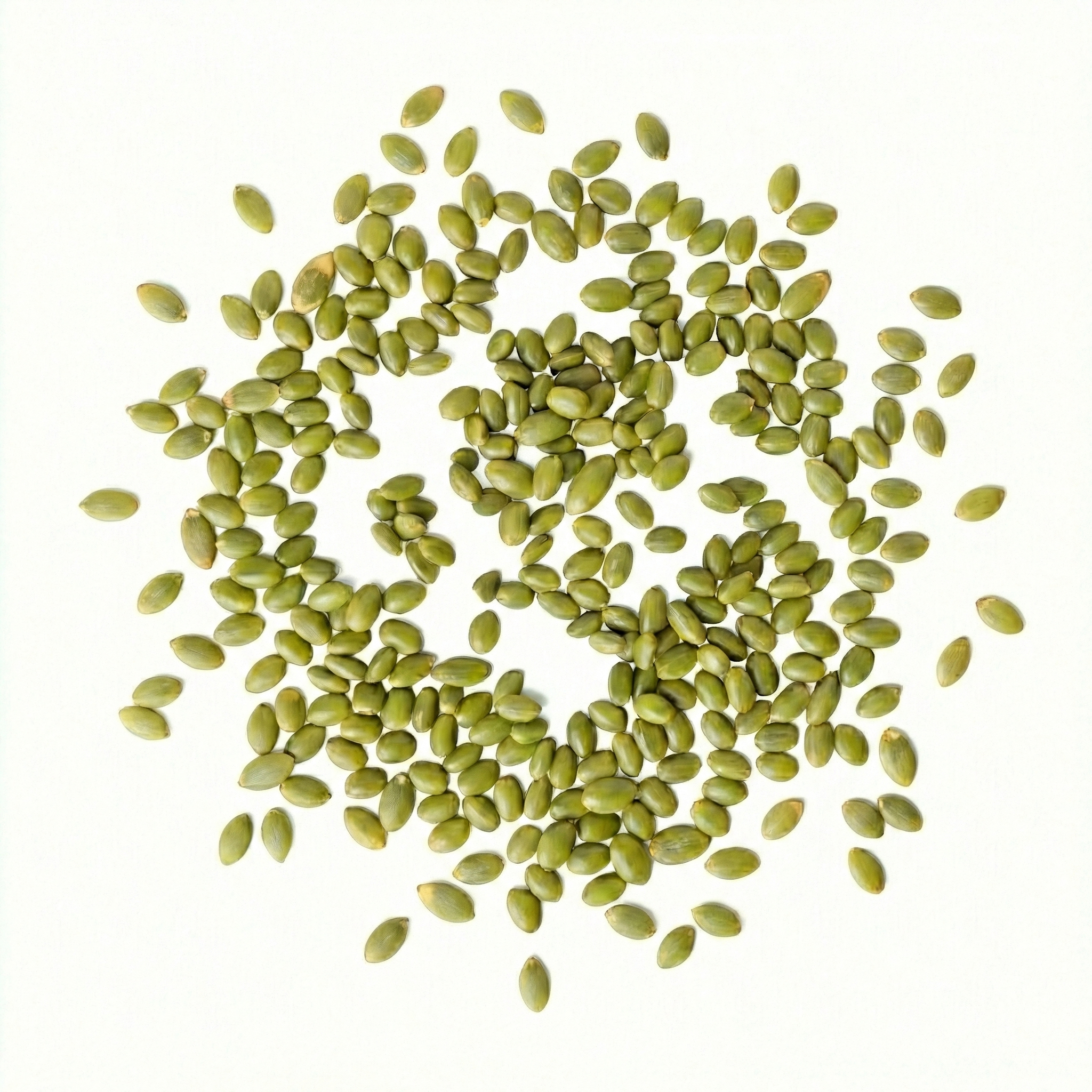 Pumpkin Seed Protein
