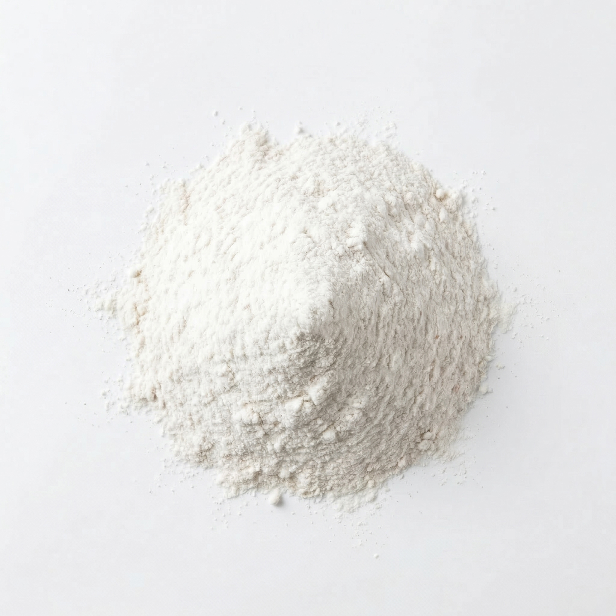 Rice Flour
