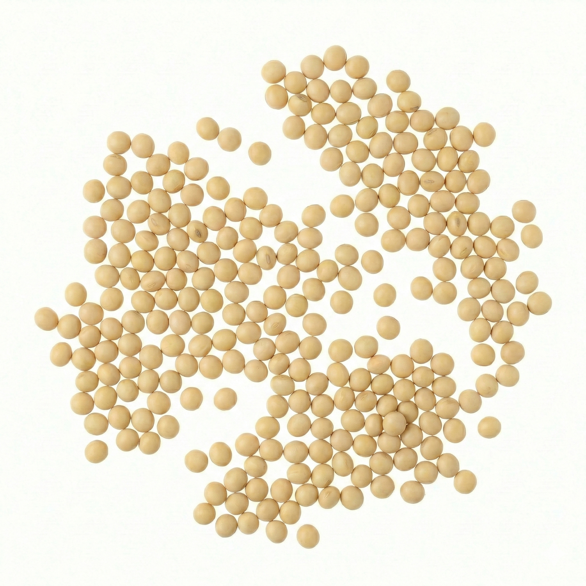 Soy Protein