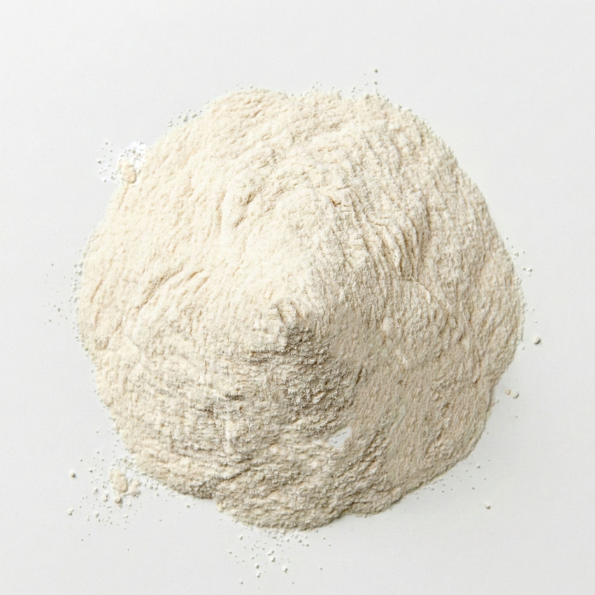 Xanthan Gum