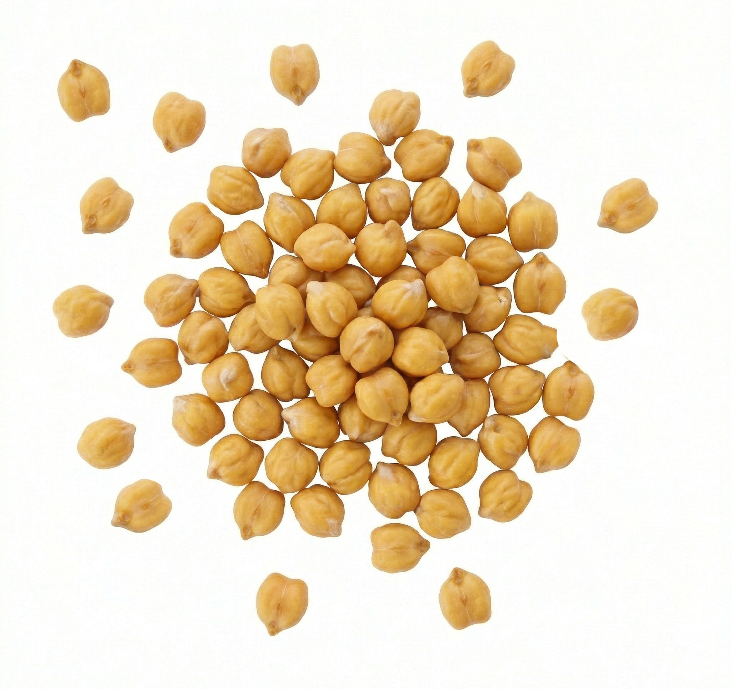 Chickpea Protein